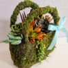 two my creations may succulent planter workshop 2025