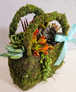 two my creations may succulent planter workshop 2025